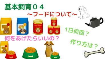 仔犬お引き取りの予習、復習に！[今日からうちの子]飼育説明〜04フードについて
