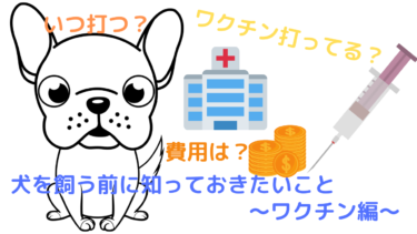 ワクチン打ってないとトリミングなどの施設が利用できないってほんと！？[犬を飼う前に知っておきたいこと]ワクチン編