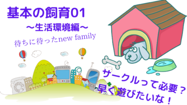 仔犬お引き取りの予習、復習に！[今日からうちの子]飼育説明〜０１生活環境編