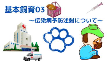 仔犬お引き取りの予習、復習に！[今日からうちの子]飼育説明〜03伝染病予防注射について