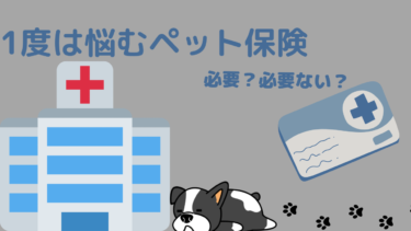 ”１度は悩むペット保険について…”ペット保険って必要！？入るか悩む〜という方必見！！メリットとデメリット教えちゃいます！